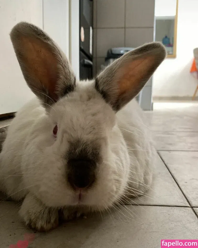 Hairy Luvo Onlyfans Photo Gallery 