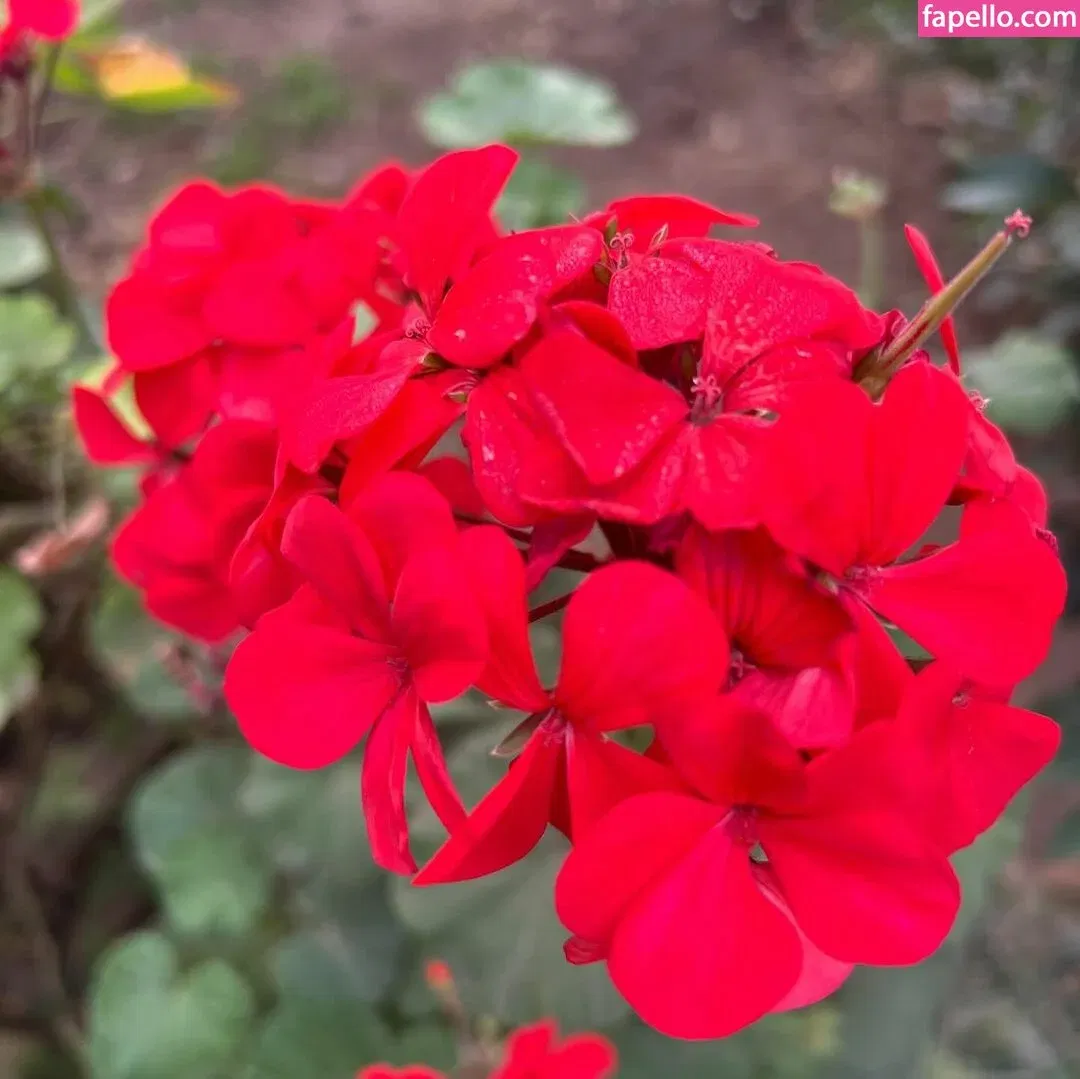 Hairy Luvo Onlyfans Photo Gallery 