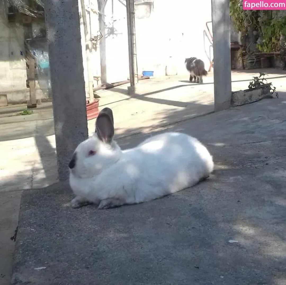 Hairy Luvo Onlyfans Photo Gallery 