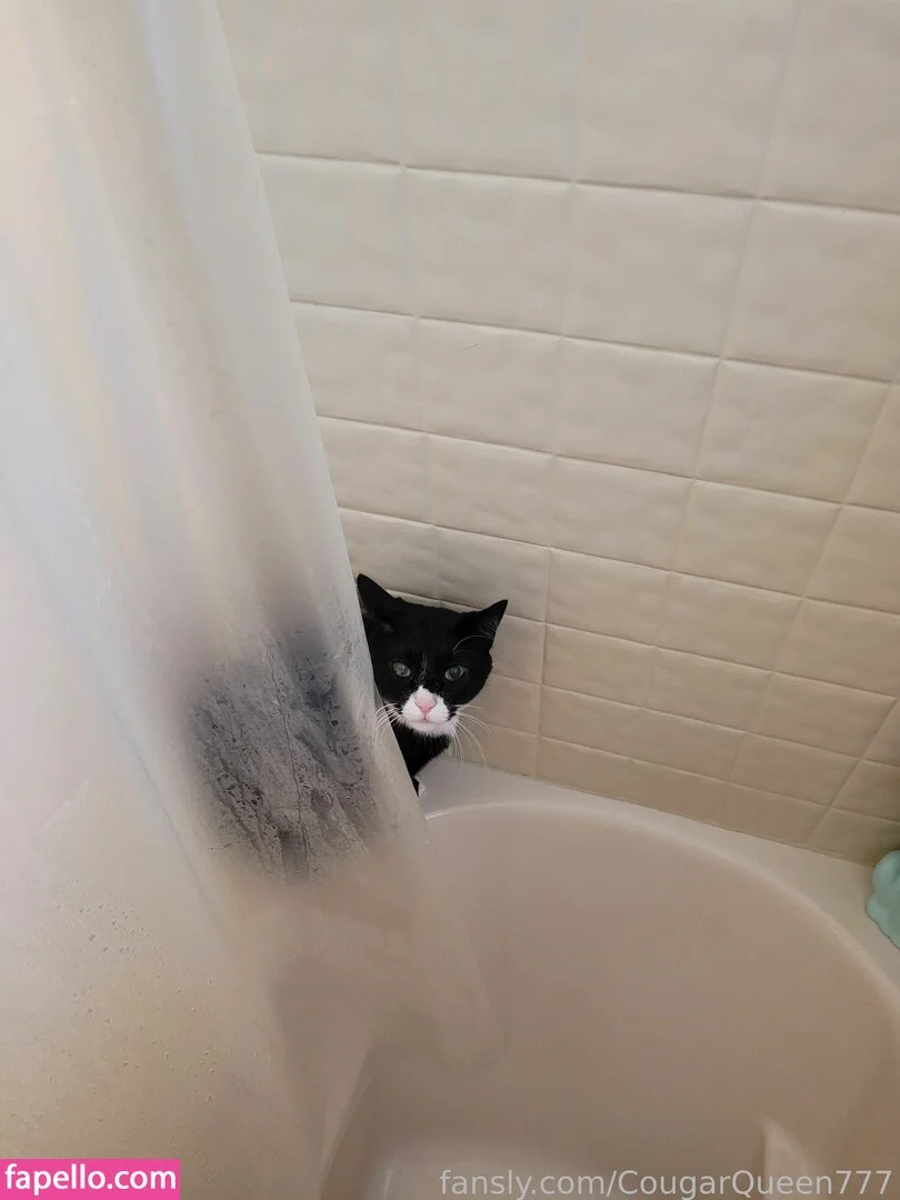 CougarQueen777 Onlyfans Photo Gallery 