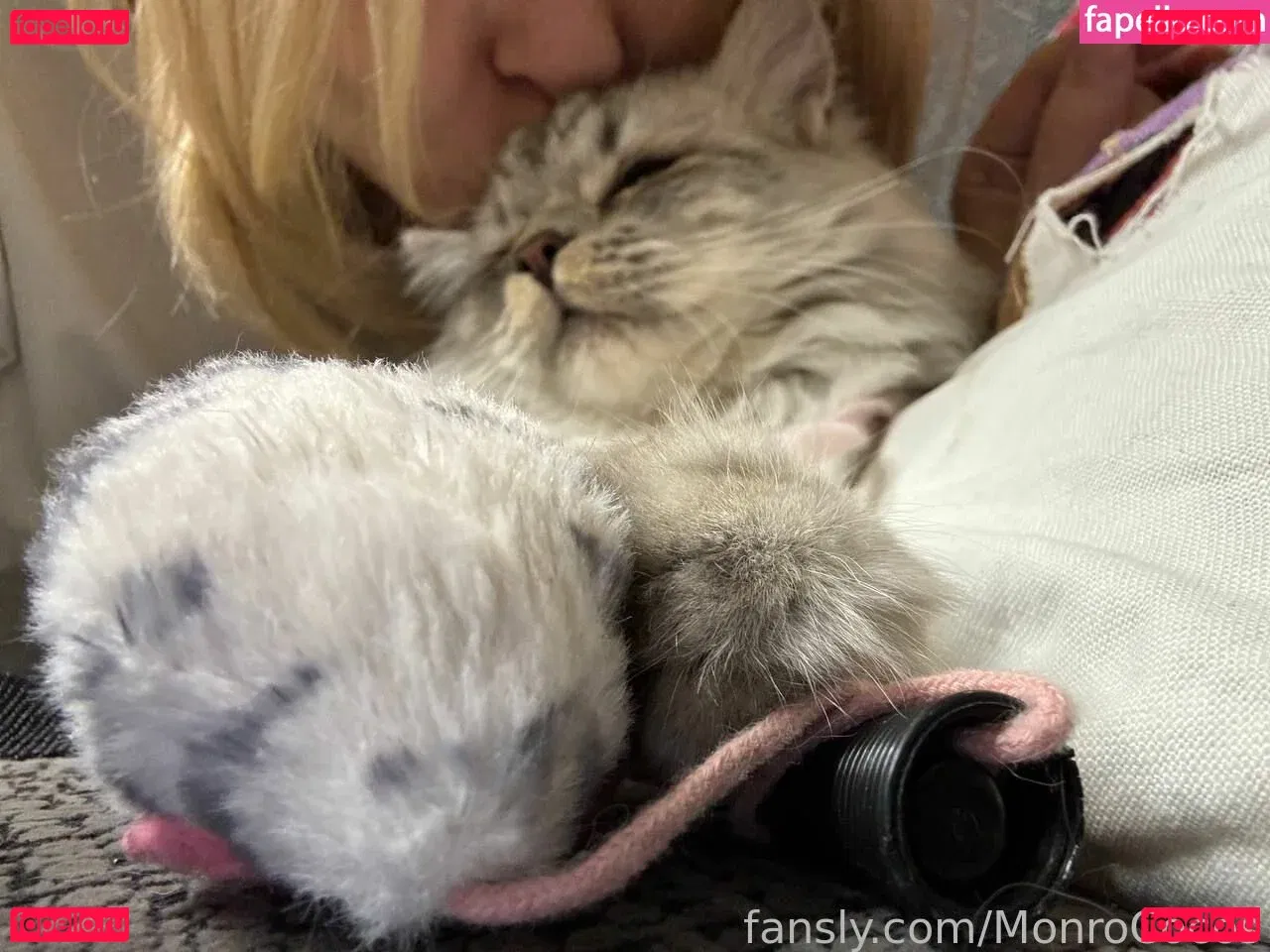 MonroCocos Onlyfans Photo Gallery 