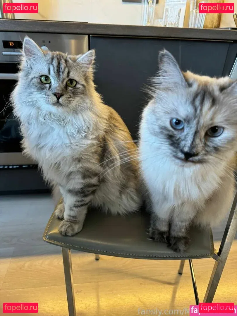 MonroCocos Onlyfans Photo Gallery 