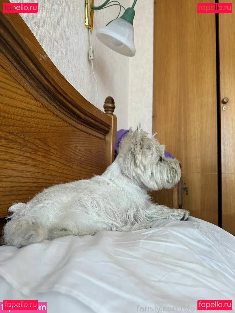 MonroCocos Onlyfans Photo Gallery 