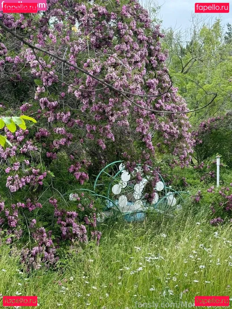 MonroCocos Onlyfans Photo Gallery 