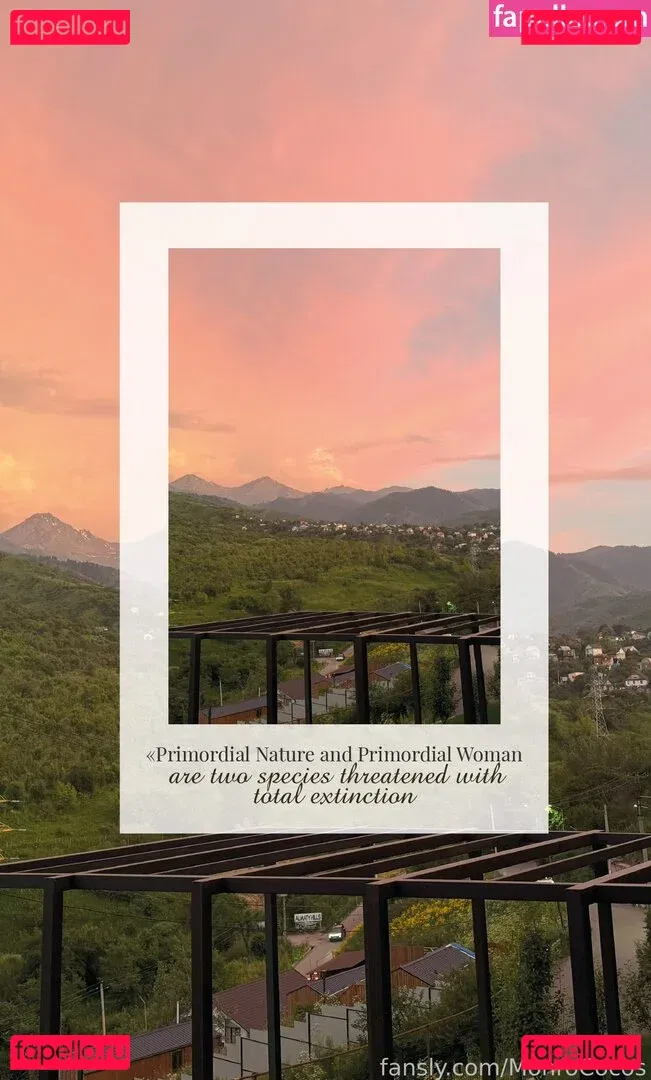 MonroCocos Onlyfans Photo Gallery 