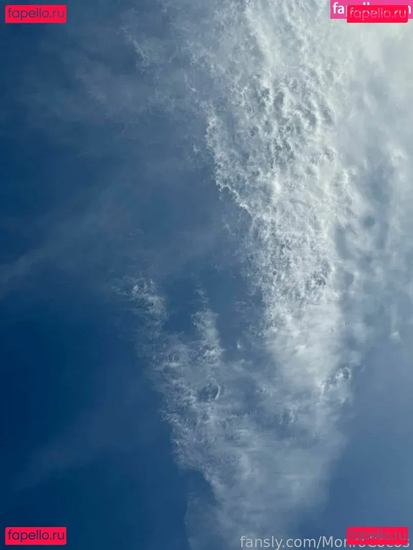 MonroCocos Onlyfans Photo Gallery 