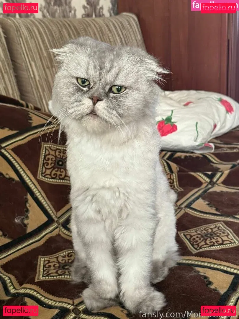 MonroCocos Onlyfans Photo Gallery 