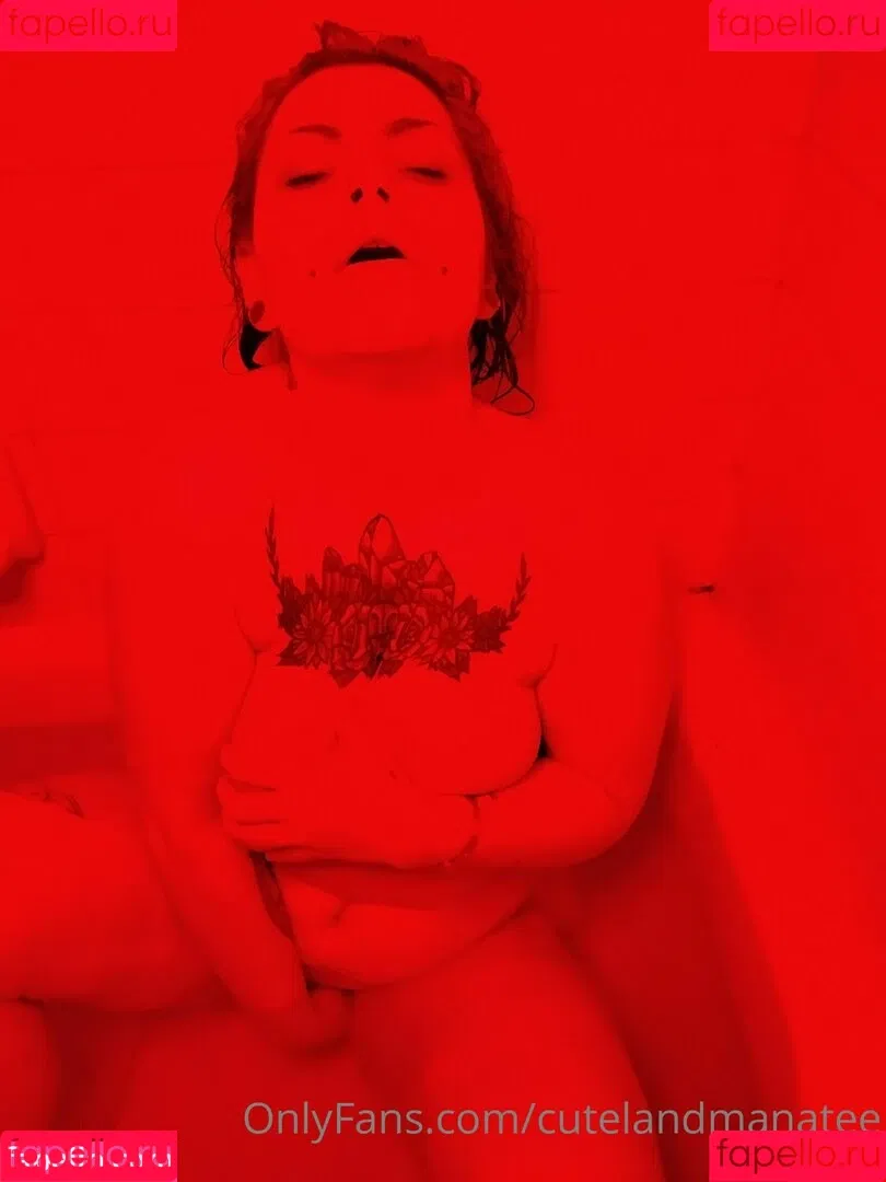 trusteemanatee Onlyfans Photo Gallery 