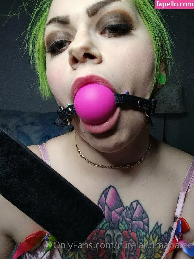 trusteemanatee Onlyfans Photo Gallery 