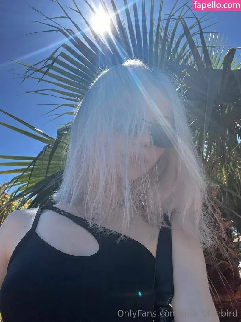 Mia_bluebird Onlyfans Photo Gallery 