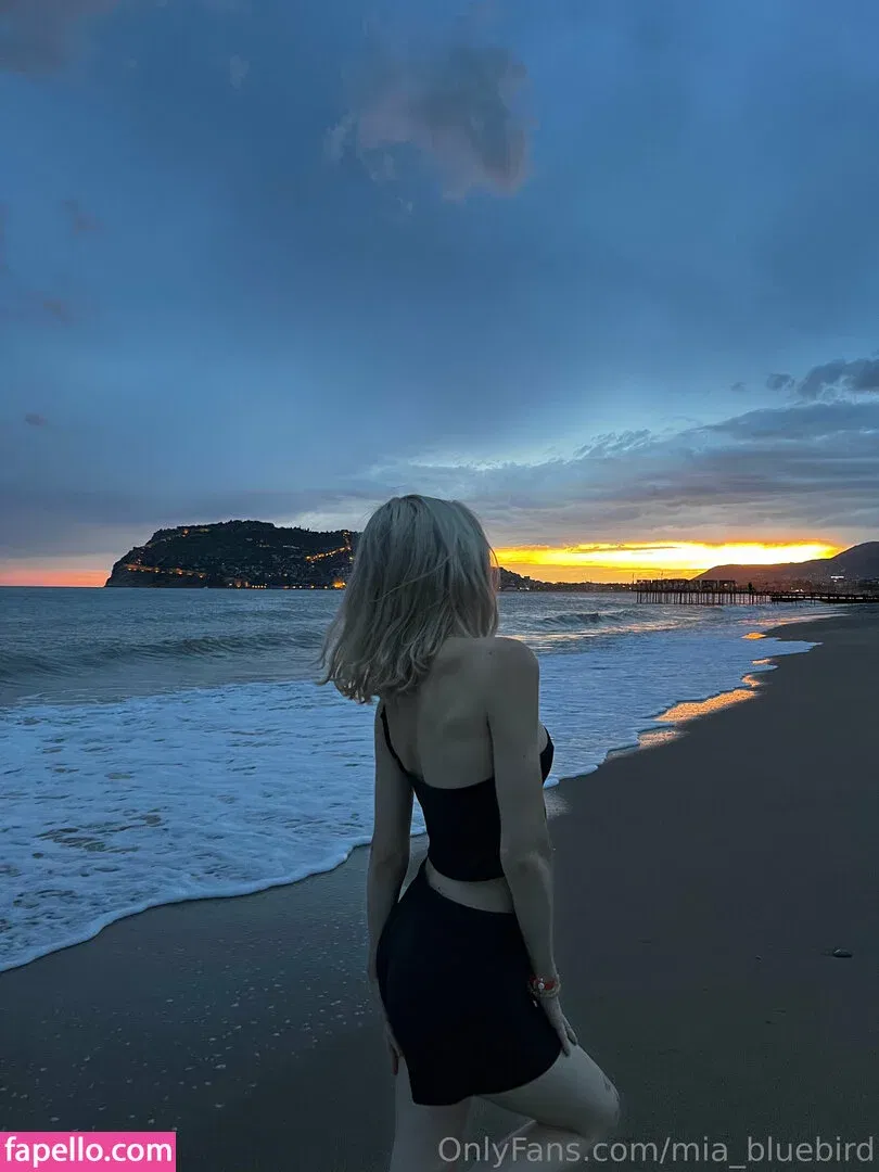 Mia_bluebird Onlyfans Photo Gallery 