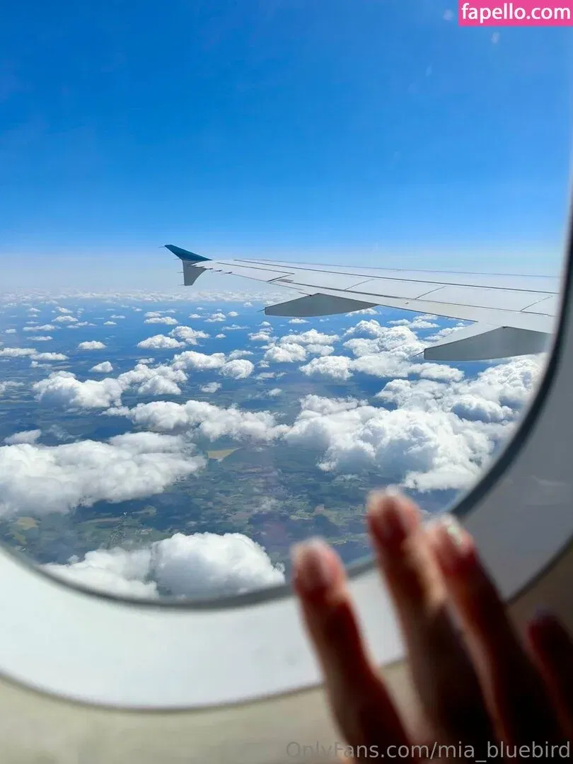 Mia_bluebird Onlyfans Photo Gallery 