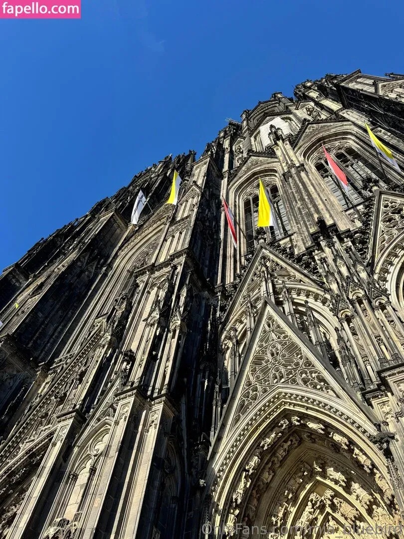 Mia_bluebird Onlyfans Photo Gallery 