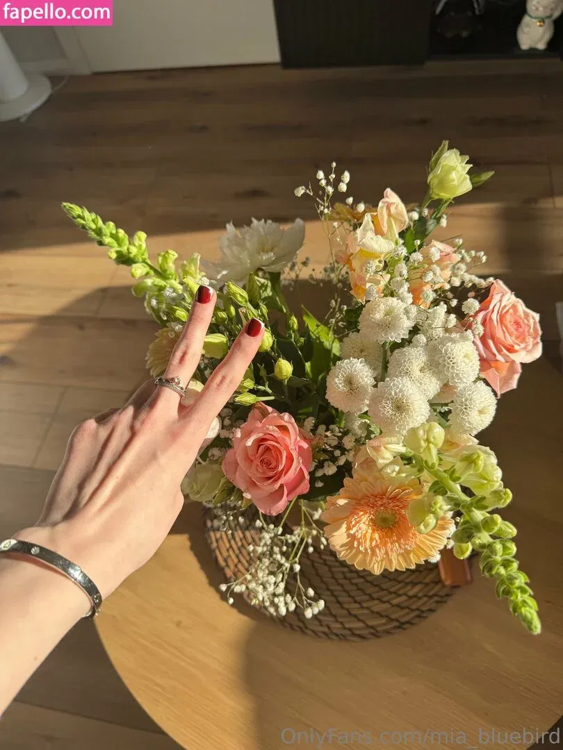 Mia_bluebird Onlyfans Photo Gallery 