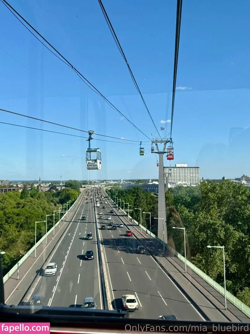Mia_bluebird Onlyfans Photo Gallery 