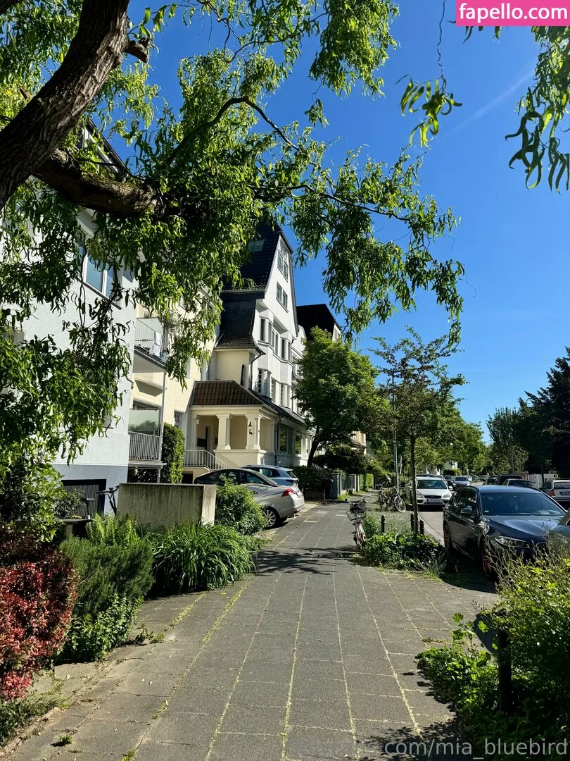 Mia_bluebird Onlyfans Photo Gallery 