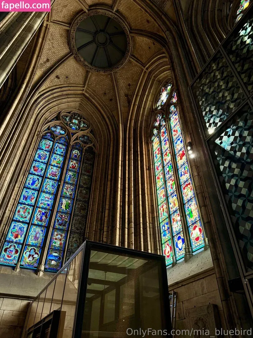 Mia_bluebird Onlyfans Photo Gallery 