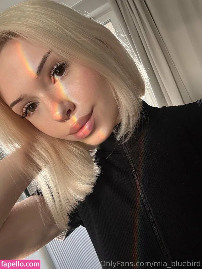 Mia_bluebird Onlyfans Photo Gallery 