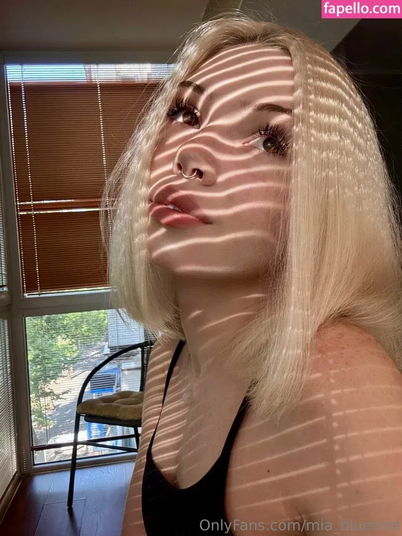 Mia_bluebird Onlyfans Photo Gallery 