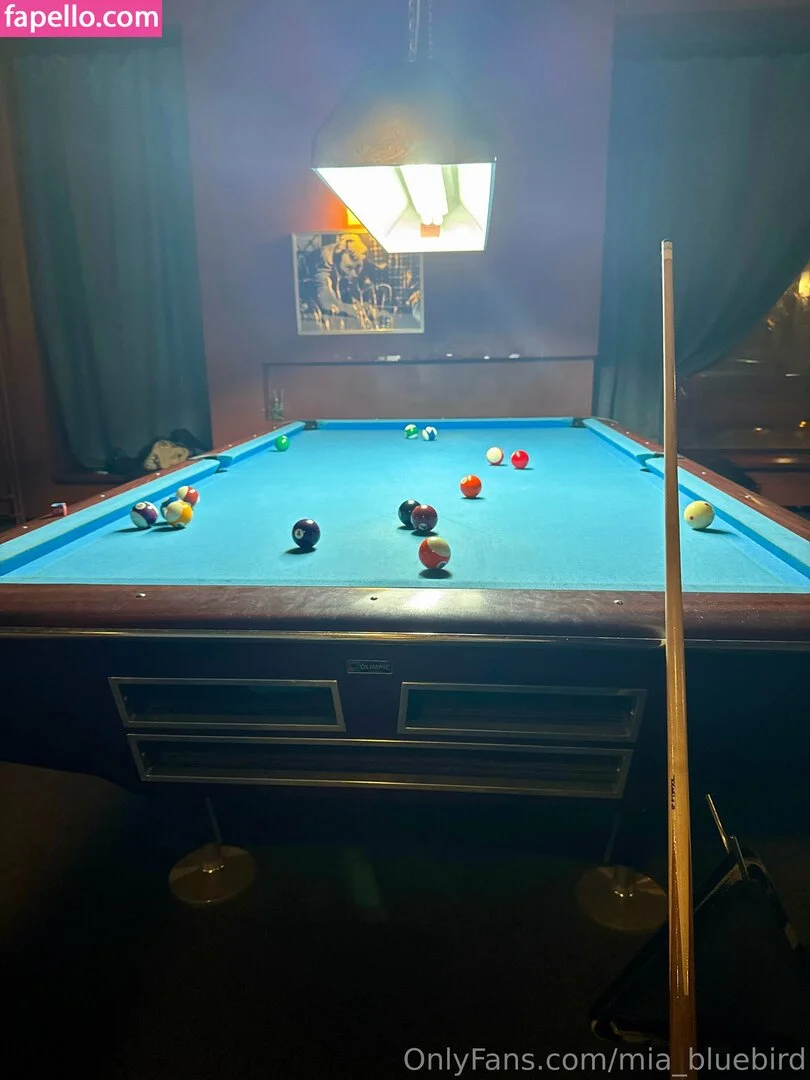 Mia_bluebird Onlyfans Photo Gallery 