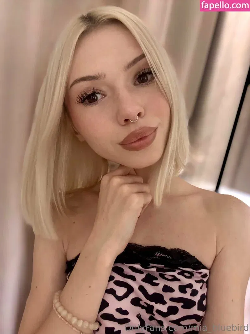 Mia_bluebird Onlyfans Photo Gallery 