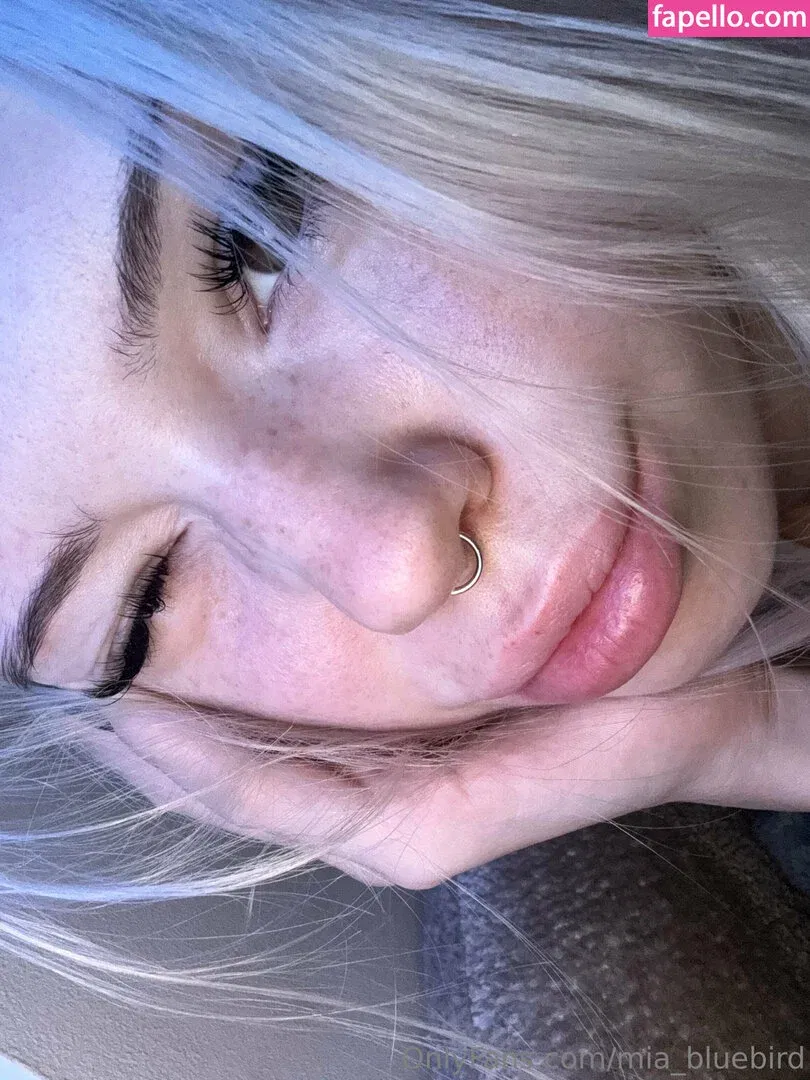 Mia_bluebird Onlyfans Photo Gallery 