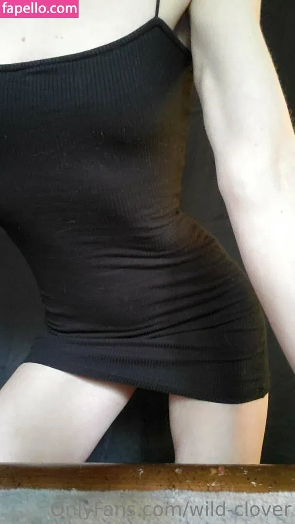 wild-clover Onlyfans Photo Gallery 