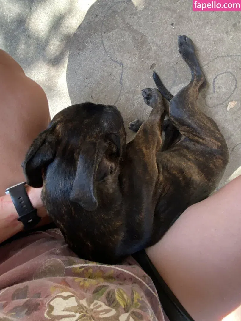 Rachel Wohlford Onlyfans Photo Gallery 