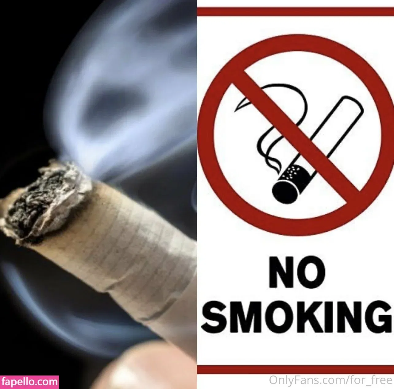 freeswissladyschweiz Onlyfans Photo Gallery 