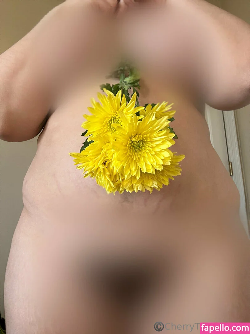 cherryishairy Onlyfans Photo Gallery 