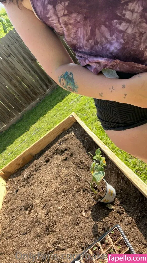 bakedveggie Onlyfans Photo Gallery 