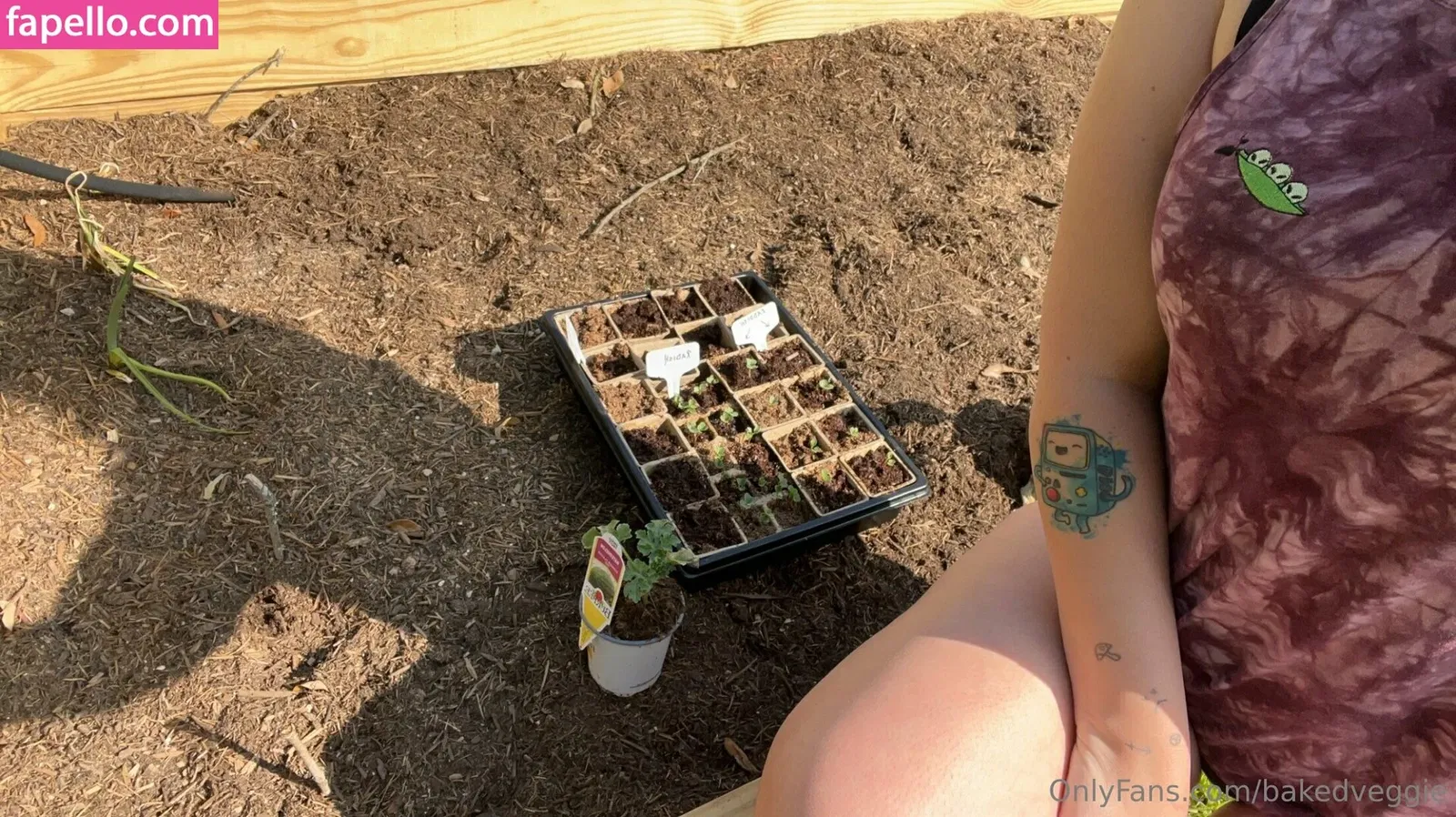 bakedveggie Onlyfans Photo Gallery 