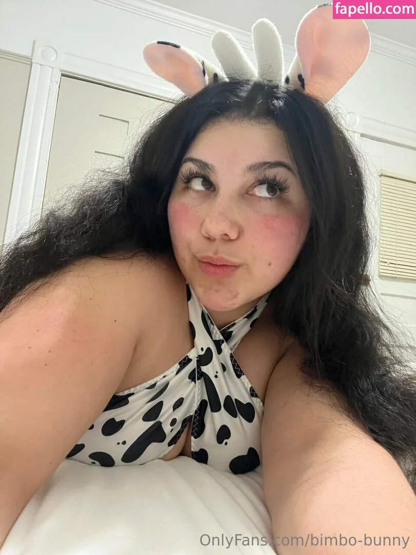 Bimbo-bunny Onlyfans Photo Gallery 