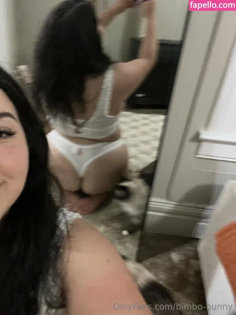 Bimbo-bunny Onlyfans Photo Gallery 