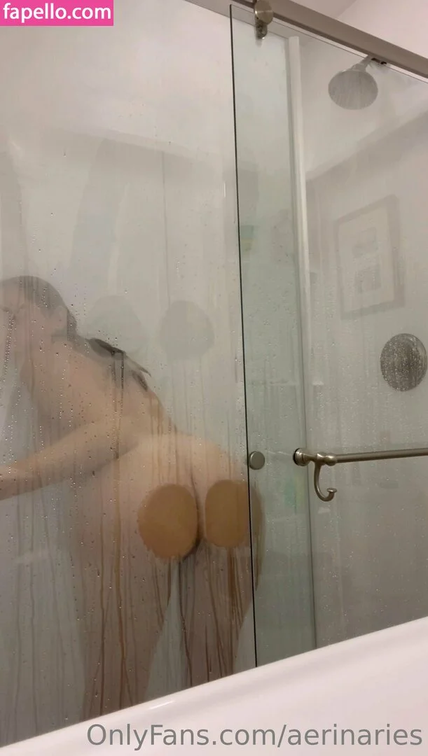 aerinaries Onlyfans Photo Gallery 