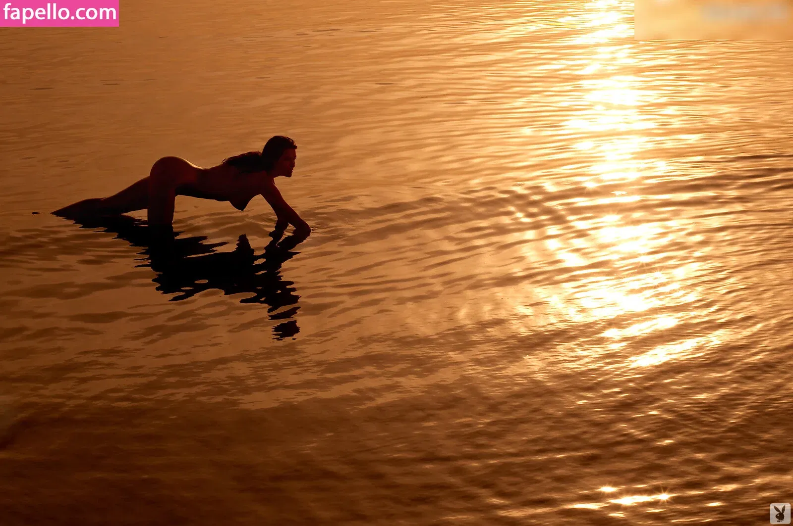 Carol Alt Onlyfans Photo Gallery 