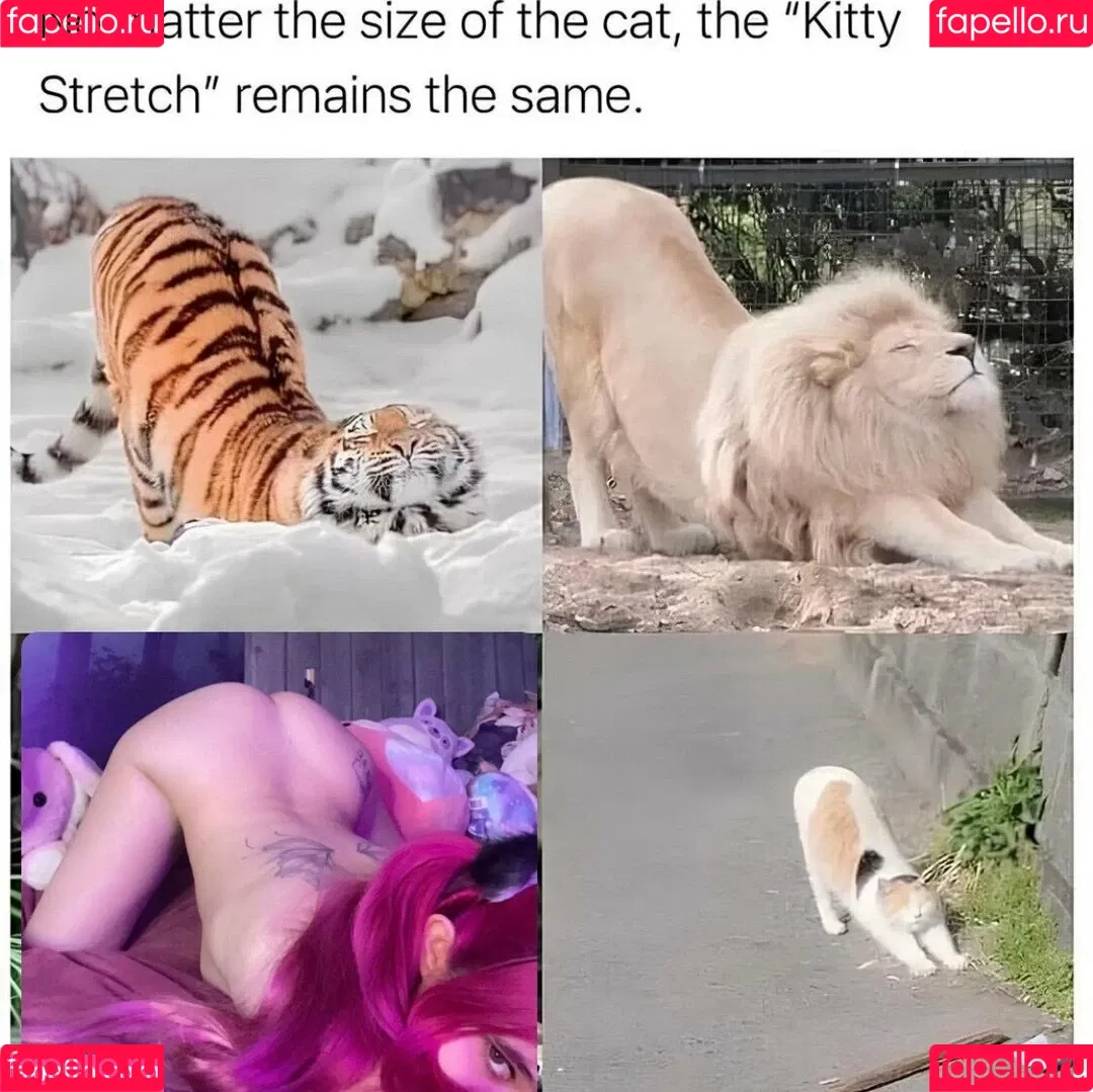 cherrygurl Onlyfans Photo Gallery 
