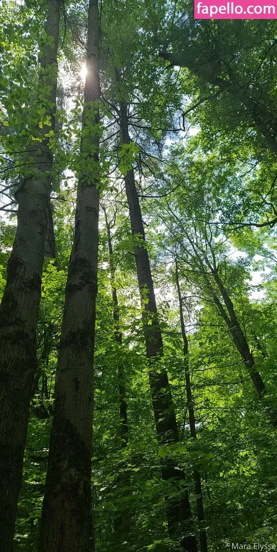 mara_elysse Onlyfans Photo Gallery 