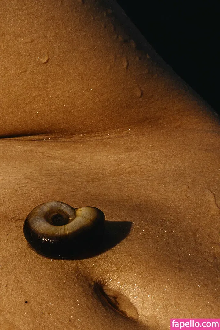 Shelynna Onlyfans Photo Gallery 