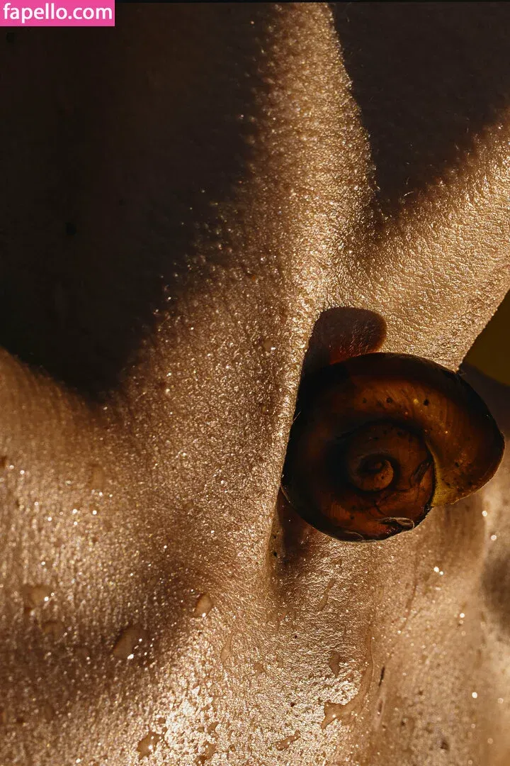 Shelynna Onlyfans Photo Gallery 