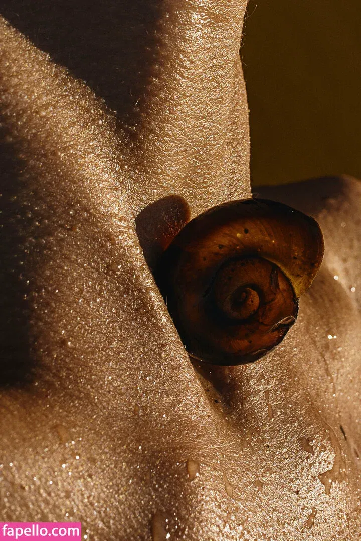 Shelynna Onlyfans Photo Gallery 