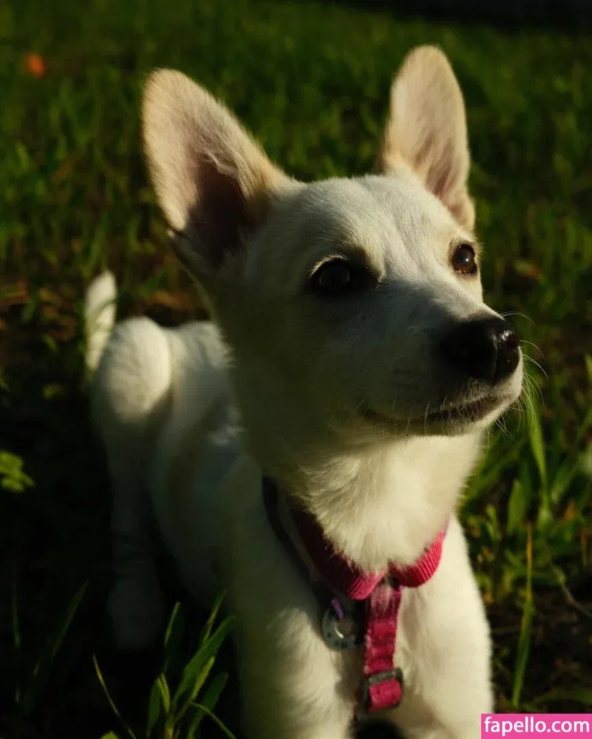 Shelynna Onlyfans Photo Gallery 