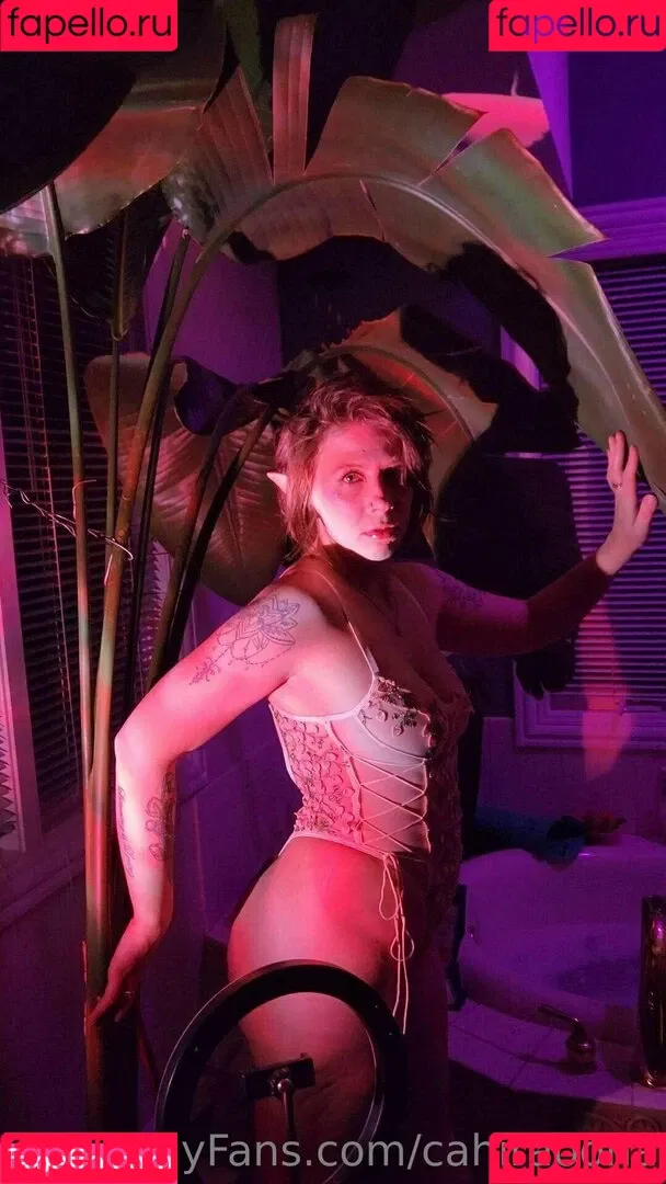 cahiraoona Onlyfans Photo Gallery 