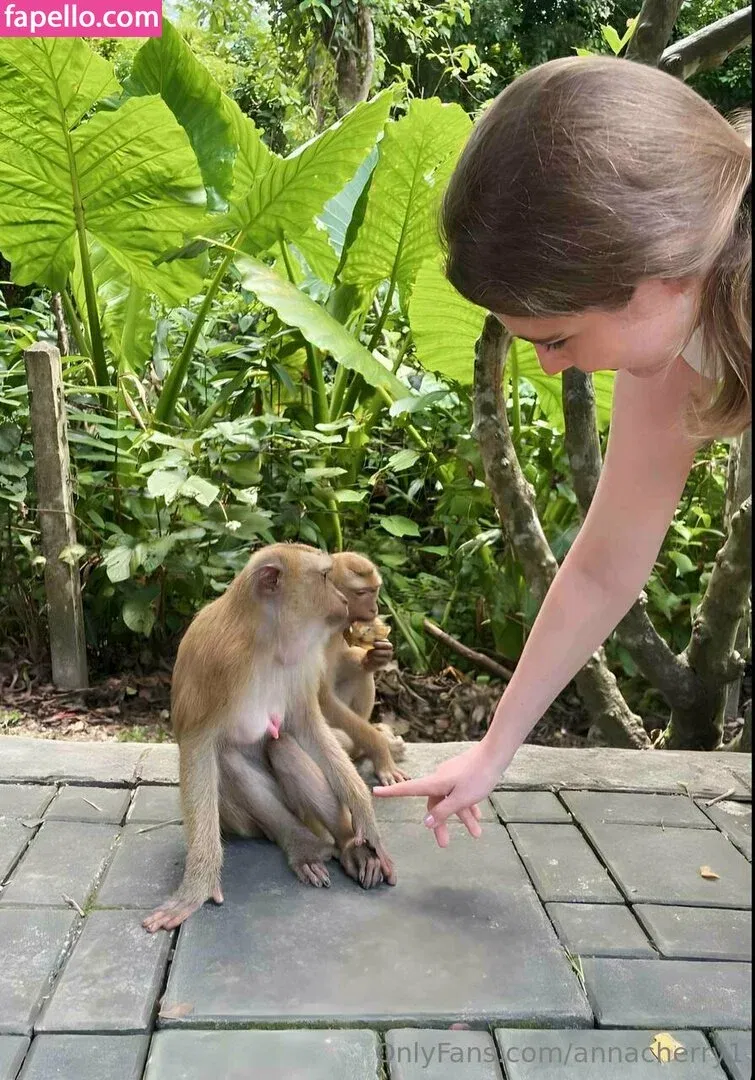 annacherry1 Onlyfans Photo Gallery 