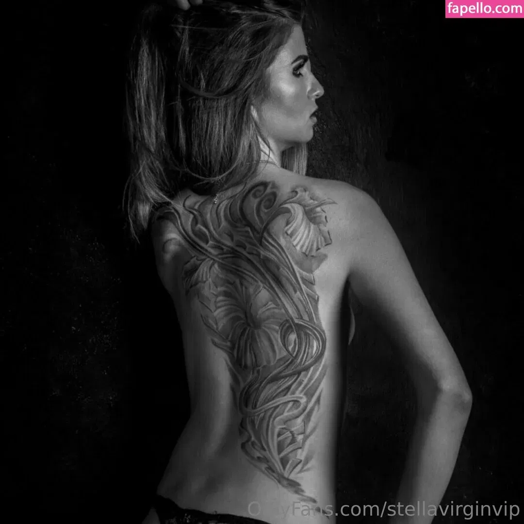 stelastar Onlyfans Photo Gallery 