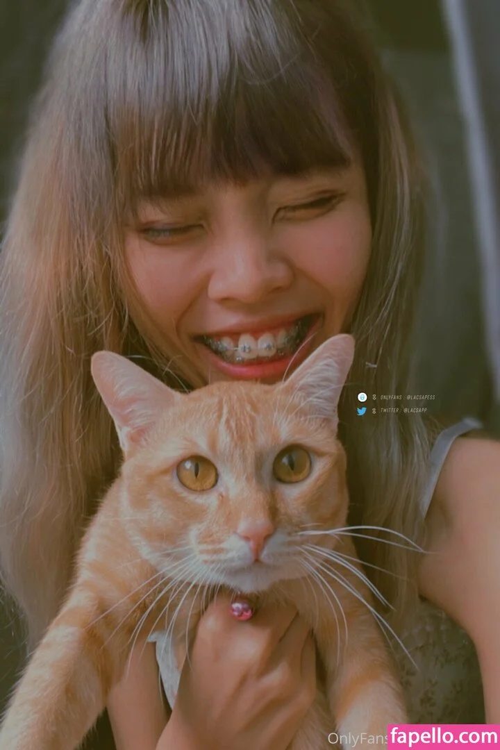 bibbob Onlyfans Photo Gallery 