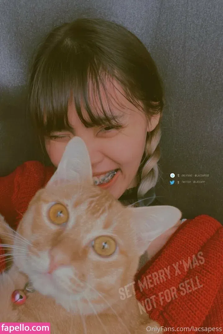 bibbob Onlyfans Photo Gallery 