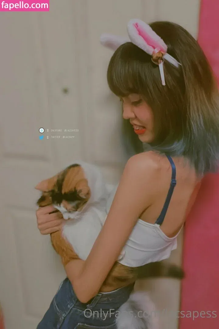 bibbob Onlyfans Photo Gallery 