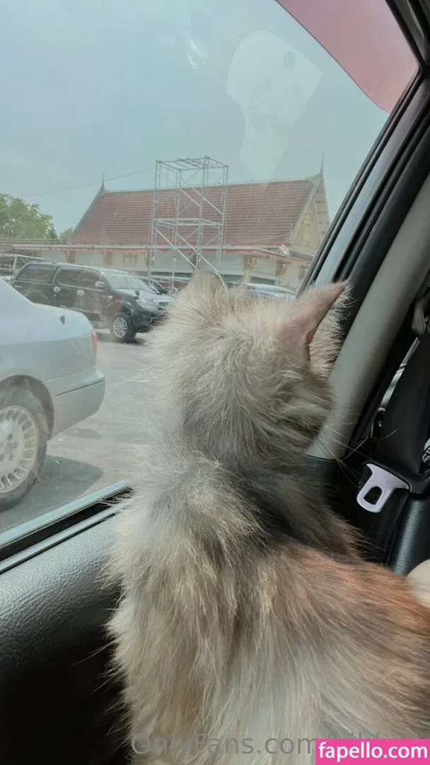 bibbob Onlyfans Photo Gallery 