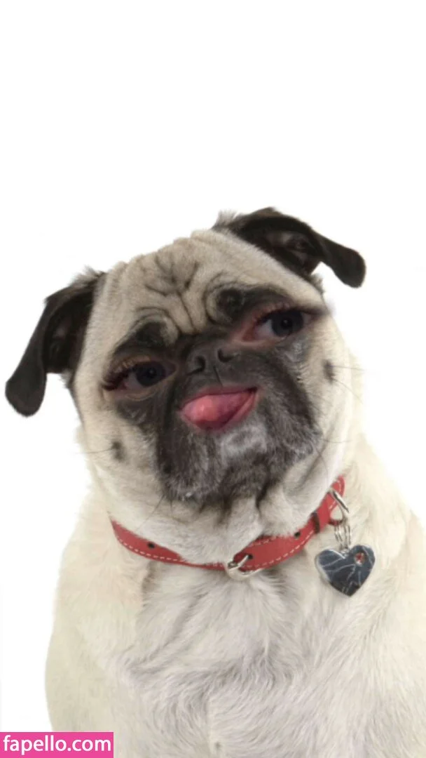 InnocentBaby9 Onlyfans Photo Gallery 